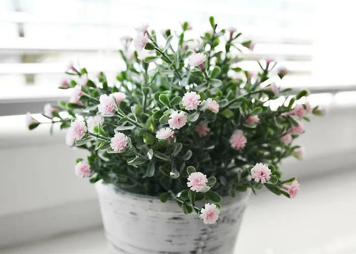 Navigator-portowa 28 *